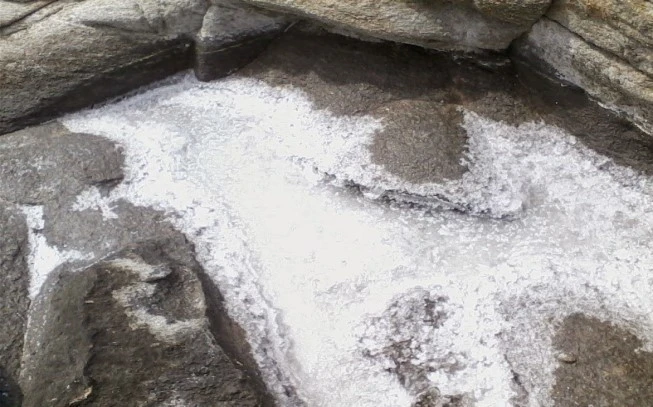 Άνθος αλατιού Μάνης  fleur de sel. 2