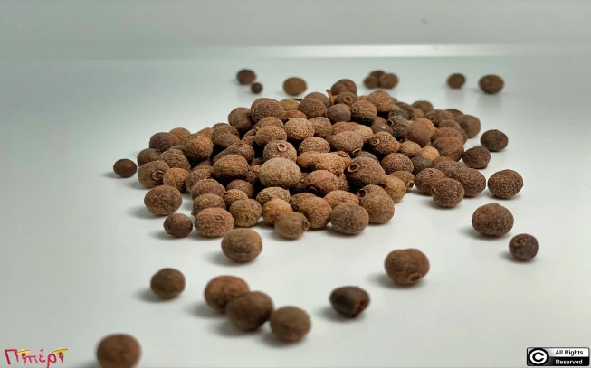 Μπαχάρι , ( pimenta dioica ). 1