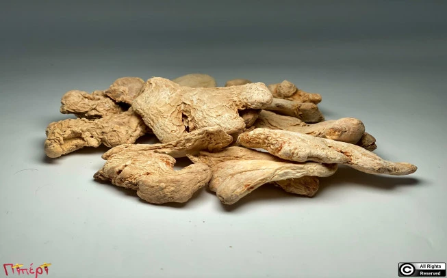 Ginger (Zingiber officinale). 1