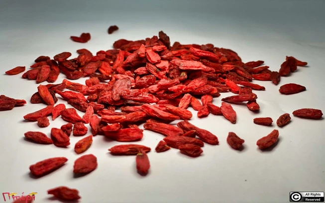 Γκότζι , Γκότζι μπέρι ,λυκόμουρο , ( Lycium barbarum). 1