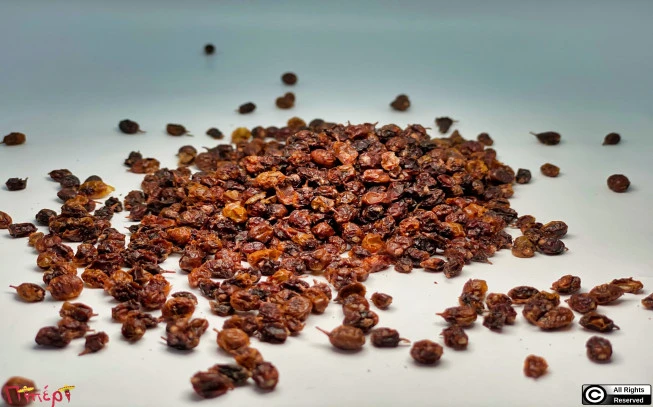 Ιπποφαές , Sea Buckthorn , ( Hippophae L.) 1