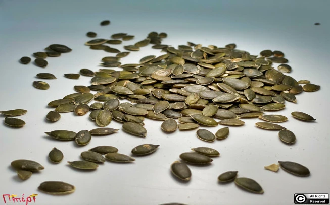 Κολοκυθόσπορος , Pumpkin Seed , ( Cucurbita pepo ) 1
