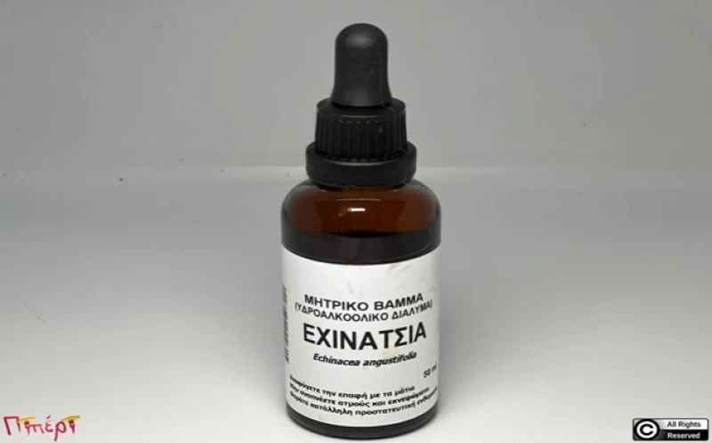 Purple coneflower tincture, ( echinacea purpurea tincture).    50ml 1