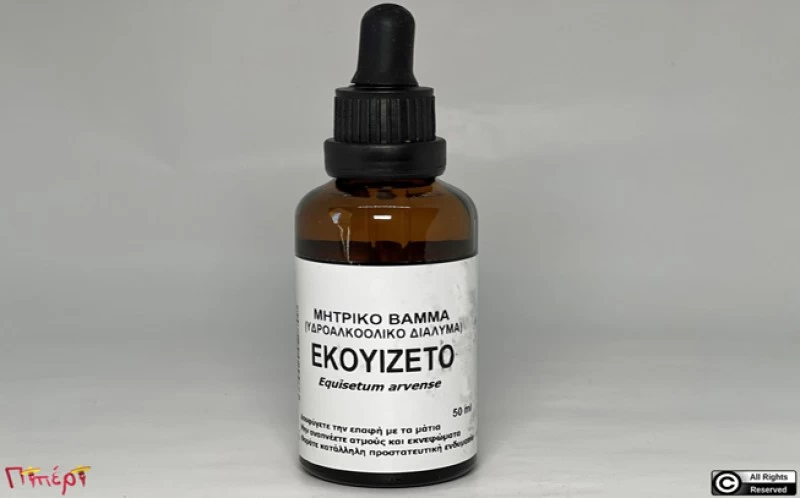 Common Horsetail mother tincture, (equisetum arvense).   50ml 1