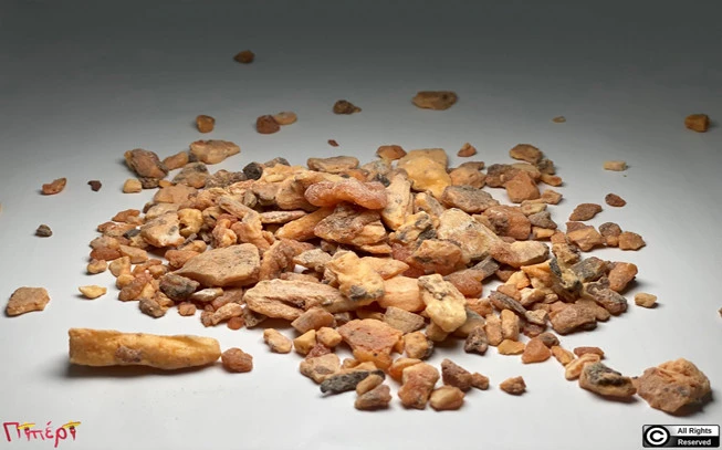 Benzoin (Styrax Benzoin) 1