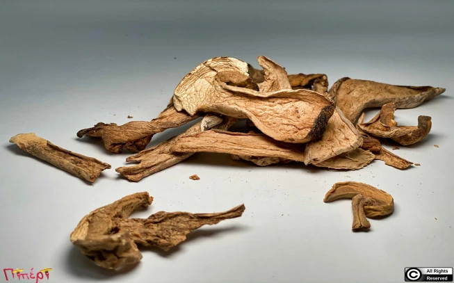 Μανιτάρια πορτσίνι , βασιλομανίταρο , καλογεράκι , Βωλίτης ο εδώδιμος , porcino , porcini , king bolete, penny bun , cep , ( Boletus edulis ). 1