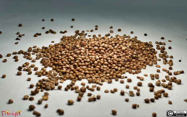 Κόλιανδρος  ,  (Coriandrum sativum) 1