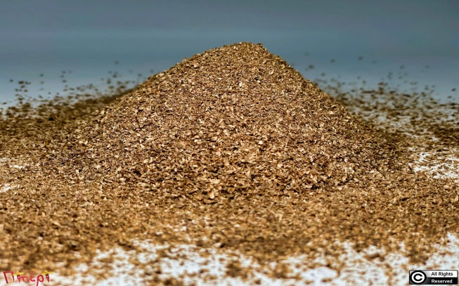 Κόλιανδρος  ,  (Coriandrum sativum) 3