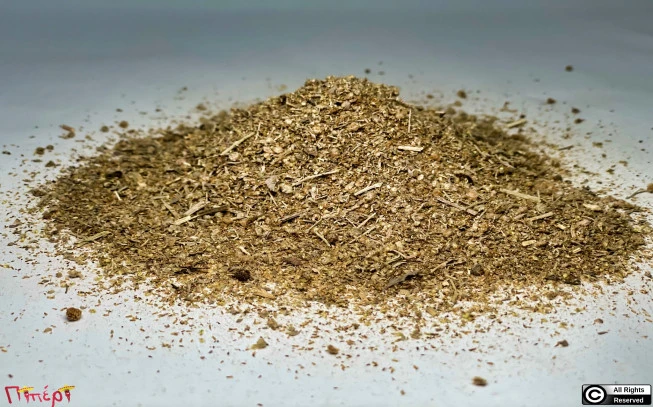 Αψιθιά : Αρτεμισία , αψίνθιο (artemisia absinthiun). 1