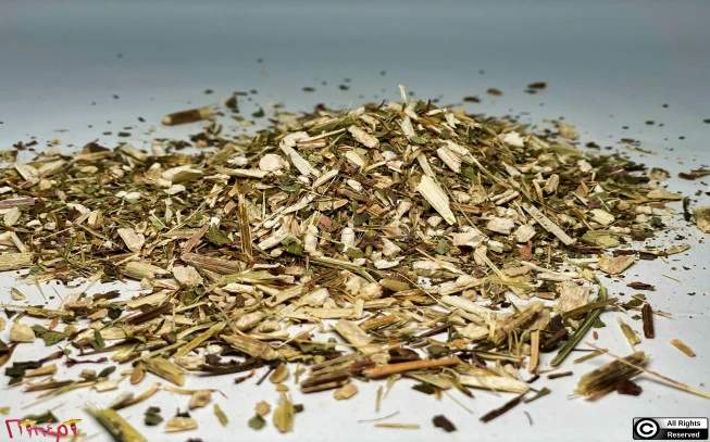 Echinacea, echinacea, purple echinacea, (echinacea purpurea). 1