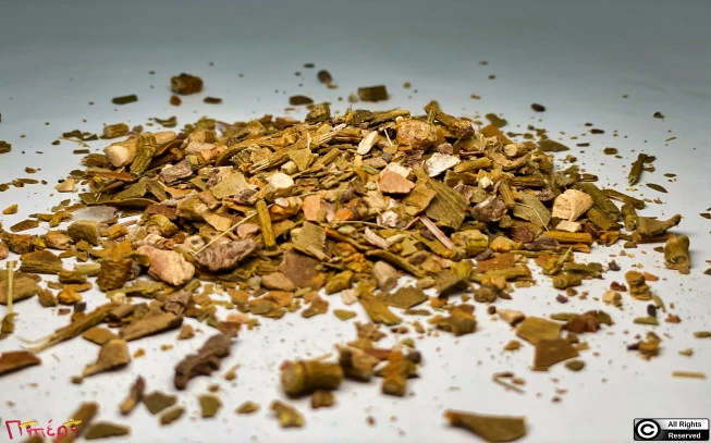 Ιξός , γκί , βίσκο το λευκό , Μέλα , Μηλιός , Μελάς , Μελιός ή Μελιά, Βρυ ελατένιο , (viscum album). 1