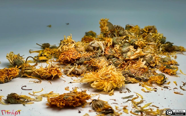 Καλέντουλα ,   ( calentula officinallis ). 1