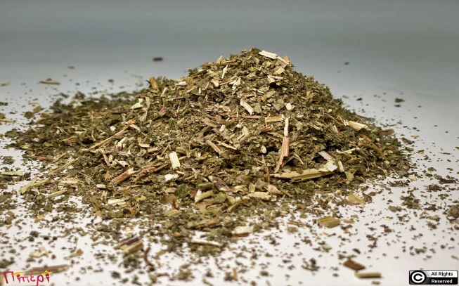 Λεόνουρος παναγιόχορτο , Motherwort , ( Leonurus cardiaca ). 1