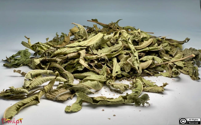 Louisa, lemongrass, aloe vera or clover, lemon verbena, (lippia citriodora) (aloysia triphylla). 1