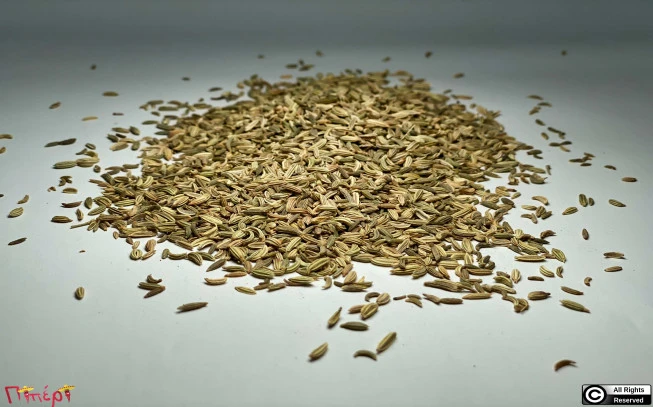 Fennel, fennel seed, common palm, fennel, wild fennel, amarathia, fennel, palm,  (foeniculum vulgare). 1