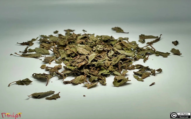 Mint, Peppermint, peppermint, (mint x piperita). 1