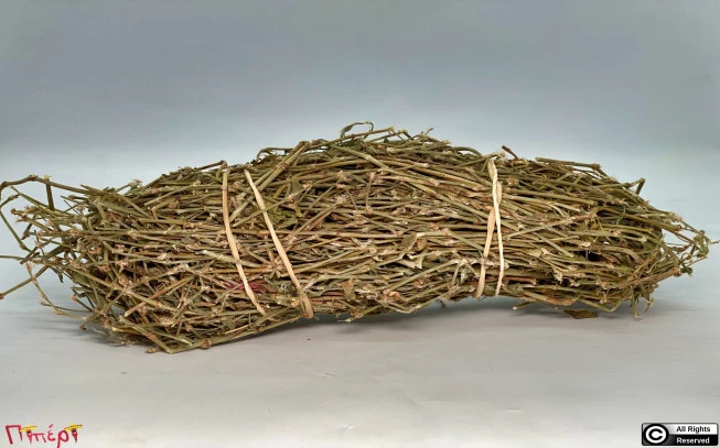 Κnotgrass, prostrate knotweed, doorweed knotgrass,Polycombo, polykómpi ,psidóchorto, psidóchorto , poliónatos , polýgono , knotweed , birdweed , pigweed , (polygonum aviculare). 1