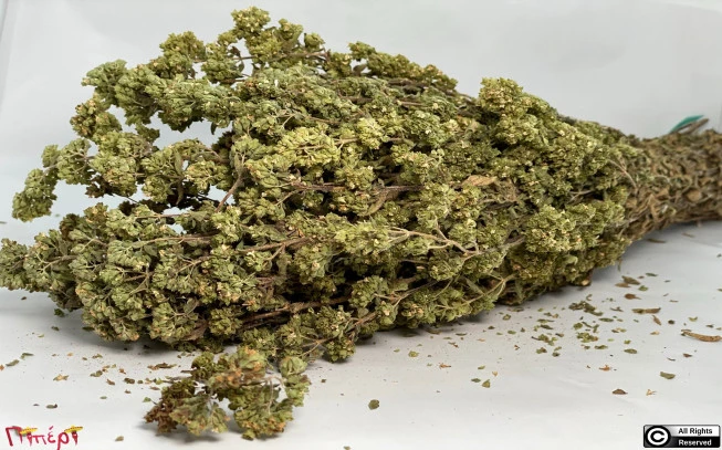 Oregano wild bunch of Agrafa, wild oregano, riano, oríganos, Oregano, (origanum vulgare). 1