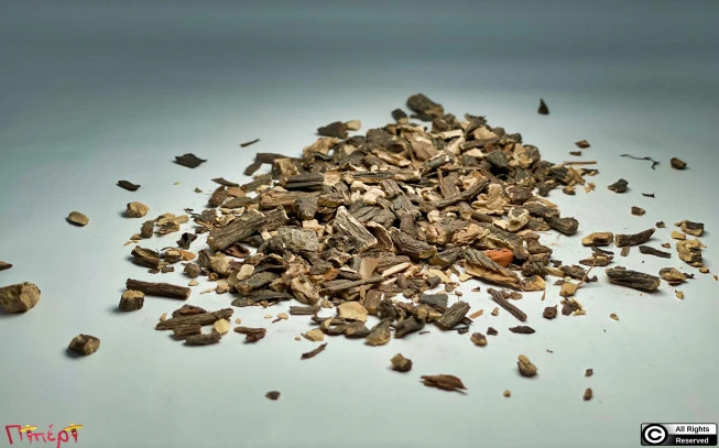 Σύμφυτο , σύμφυτο το φαρμακευτικό , στεκούλι , comfrey , true comfrey , boneset, knitbone, ( symphytum officinale ). 1