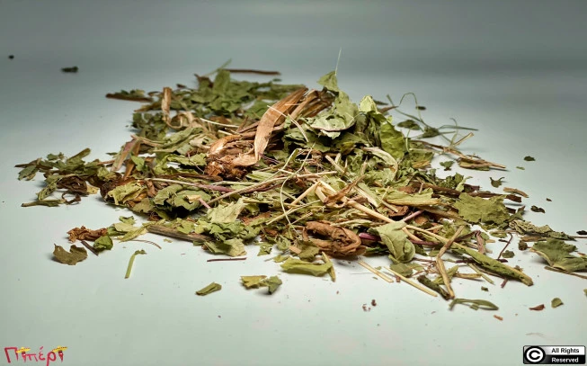 Taraxacum, dandelion, horseradish, lion tooth, mountain radish, lettuce, wild lettuce, dandelion, Dandelion, (taraxacum officinale). 1