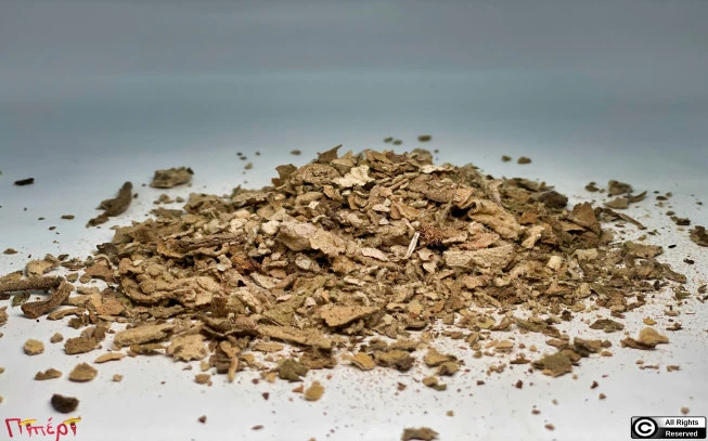 Flomos, Flomos the burial, melissandro, verbasco, good man, tongue, splon, candle of Saint John, thorn, great mullein, common mullein, (verbascum thapsus). 1