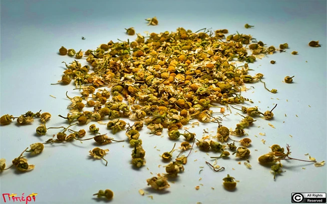 Χαμομήλι  , ( matricaria camomila ). 1