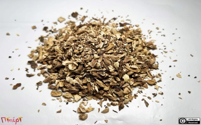 Γεντιανή , (Gentiana lutea) 1