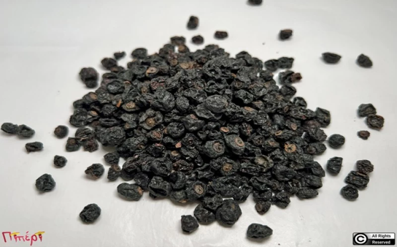 Black Currant, (Ribes nigrum) 1