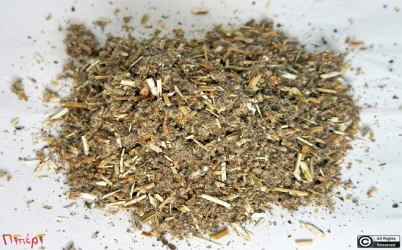 Μαρούβιο, Σκυλόχορτο, (Marrubium vulgare). 1