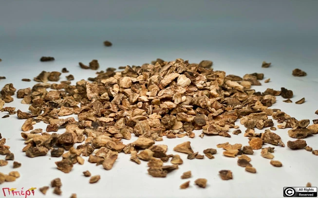 Αρπαγόφυτο , Αρπαγόφυτον το πρηνές ,ξύλινη αράχνη ,νύχι του διαβόλου, (devil's claw) (Harpagophytum Procumbens) 1