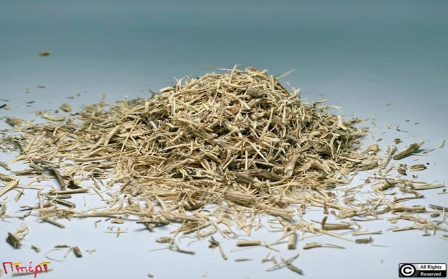 Ελευθερόκκοκος , σιβηριανό ginseng, θάμνος του διαβόλου,Siberian Ginseng , (Eleutherococcus Senticosus) 1