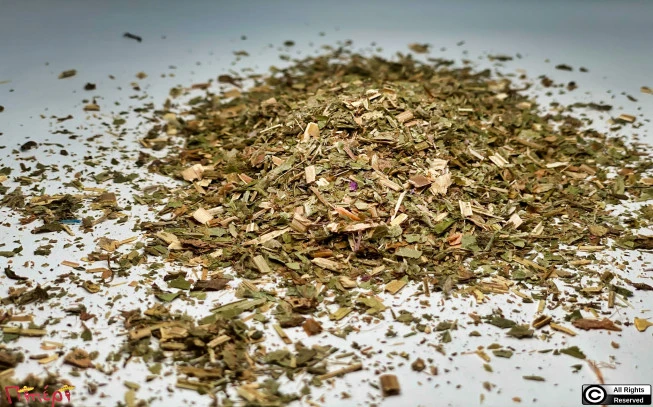 Επιλόβιο , Willow herb , hoary willowherb , ( Epilobium parviflorum ). 1