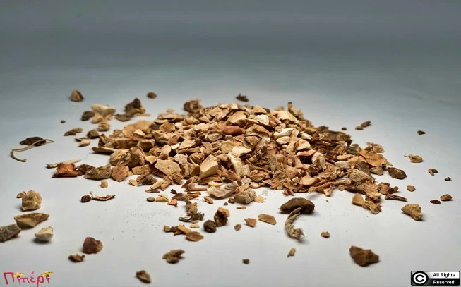 Ίριδα , ίρις , ανεβρίδα ,( Iris germanica ) 1