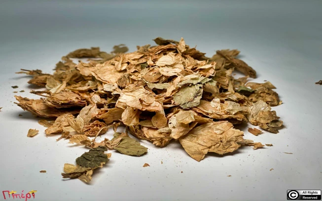 Λυκίσκος , ζυθοβότανο , hops , ( humulus lupulus ). 1