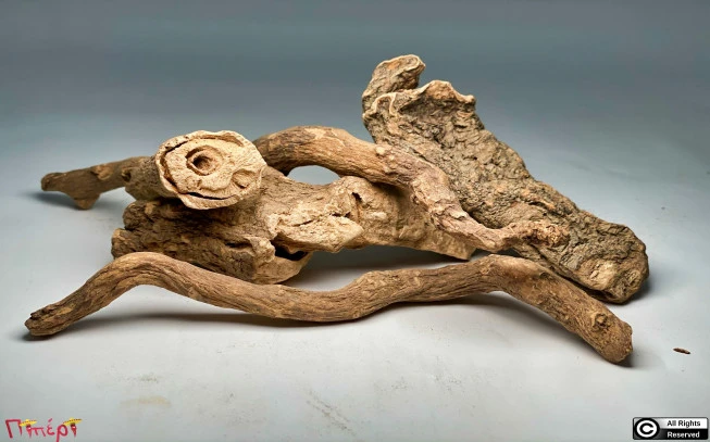 Mandrake, good man, archangel, mandrake, eggplant, meadow, 1