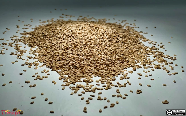 Σουσάμι φυσικό , σησάμι , Sesame seed unpeeled ,( Sesamum indicum ). 1