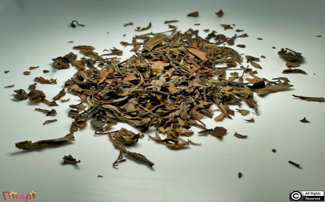 Τσάι λευκό Bai Mu Dan , White tea Bai Mu Dan , White Peony , ( Camellia sinensis ). 1