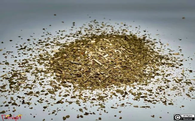 Τσάι ματέ , mate , Yerba mate , yerba-maté , ( ilex paraguariensis ). 1