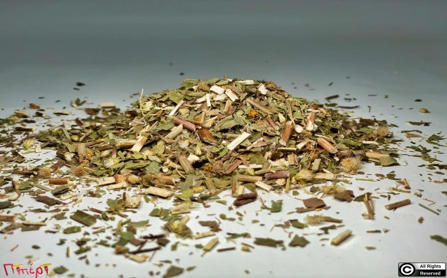 Goldenrod, solindago, woundwort, (Solidago virgaurea). 1