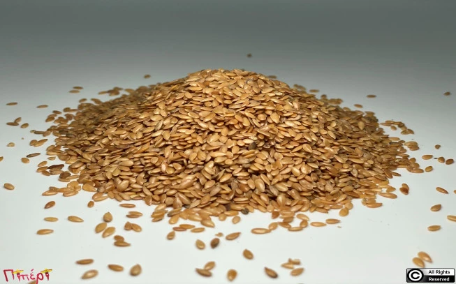 Λινάρι χρυσό, λιναρόσπορος , λινόσπορος , λίνο το χρησιμότατο, golden flax seeds , linseed ,( linum usitatissimum ). 1