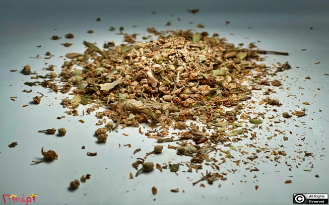 Tilio flower, linden, heart-shaped lichen, common linden, (tilia cordata) (Tilia × europaea) (tilia platyphyllos). 1