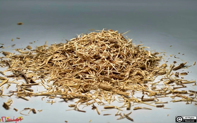 Nettle root, nettle, ruler, artichoke, acacia, prickly, unkempt, unjust, nettle, common or stinging nettle, stinger, (urtica dioica). 1