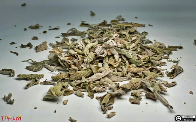 Sage leaf, medicinal sage, medicinal sage, aliphasia, sage, saffron, wild sage, Sage, (salvia officinalis). 1