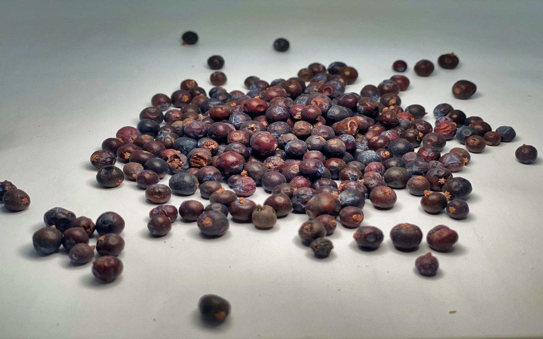 Άρκευθος : κέδρος , Κεδροκούκουτσο , κάρποί κέδρου  , οξύκεδρος ,αγριοκυπάρισσο (juniperus communis).  1