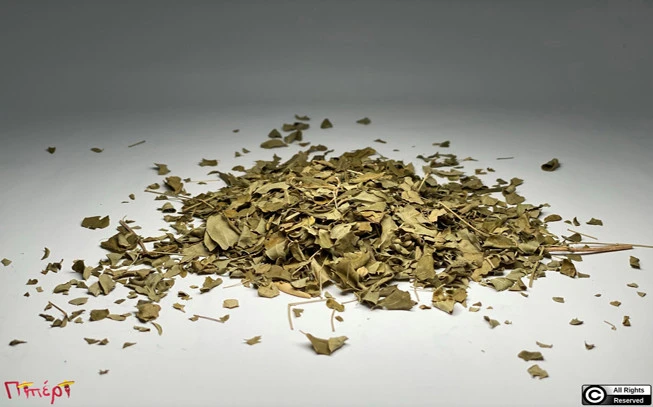 Moringa  , μορίγκα , μορίνγκα ,  (Moringa Oleifera) 1