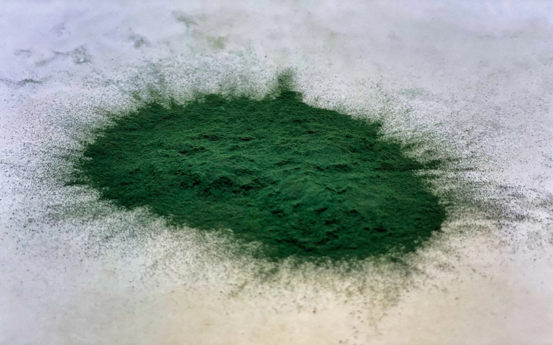 Spirulina powder, (arthrospira platensis). 1