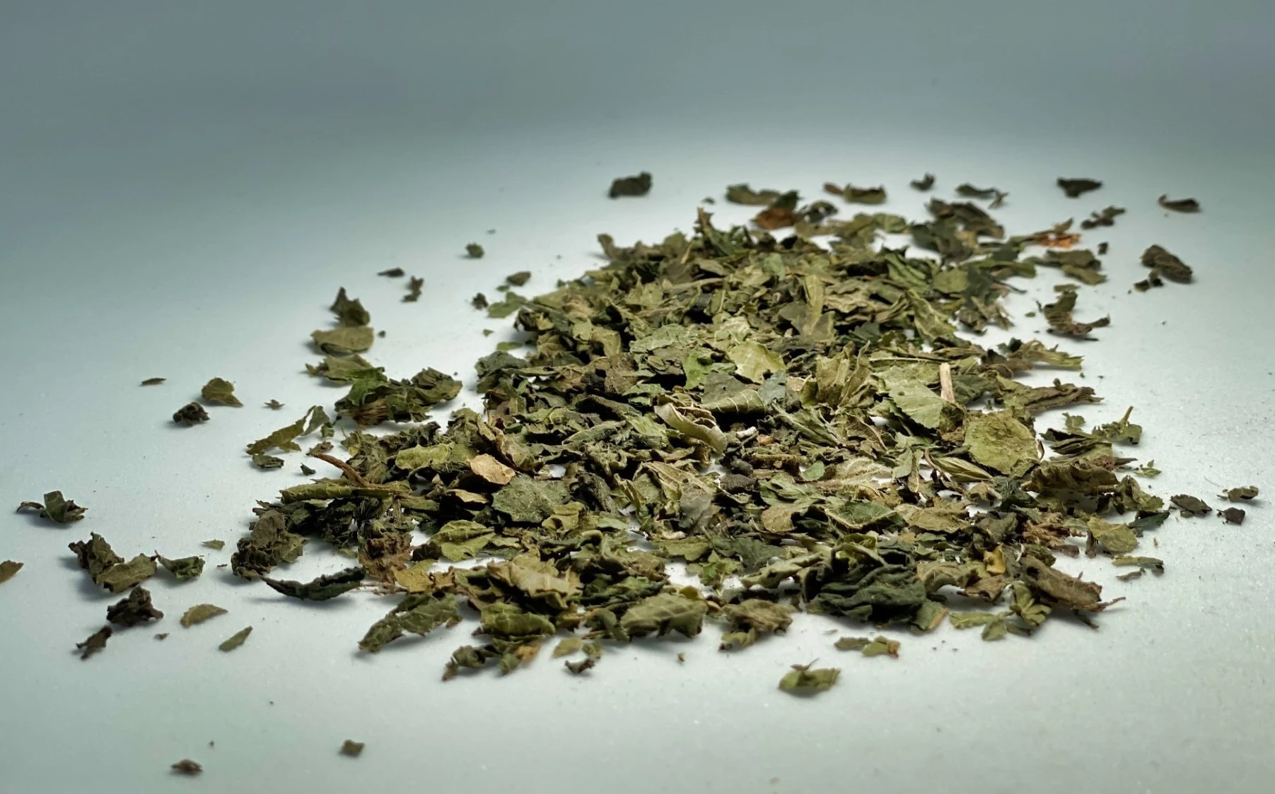 Nettle, common or stinging nettle , stinger, ( urtica dioica ). 1