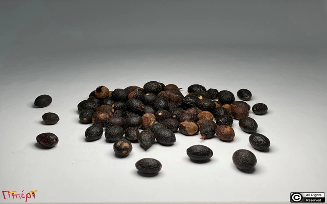 Δαφνοκούκουτσο  ,  ( Laurus nobilis). 1