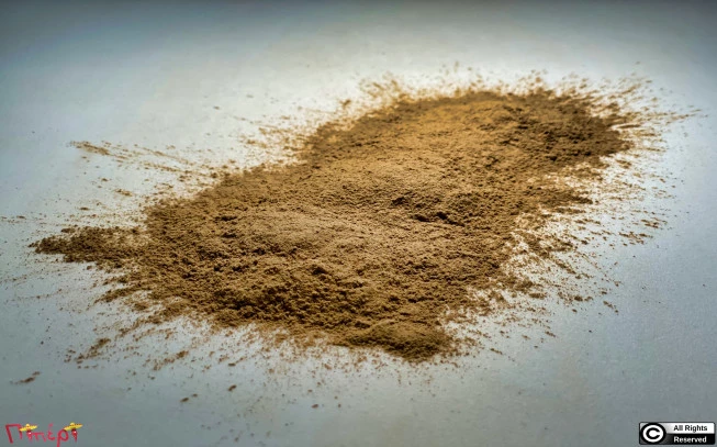 BRAHMI: waterhyssop, Bacopa monnieri, brahmi, herb of grace, water hyssop, (Bacopa monnieri) .. 1