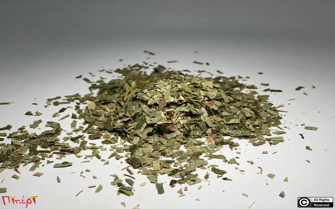 Horny goat , Επιμήδιο, (Epimedium alpinum) (χόρνι γκόουτ)). 1